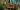Fortnum & Mason Fortnum & Mason