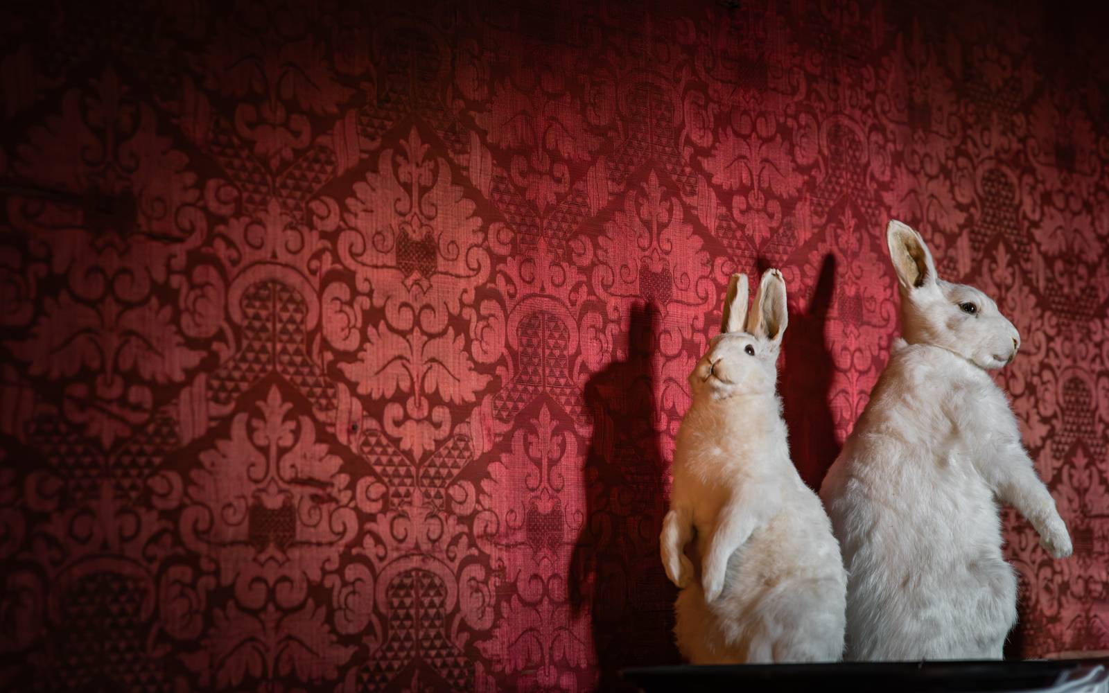 Dining in the Duchess Restaurant Grange Park Opera