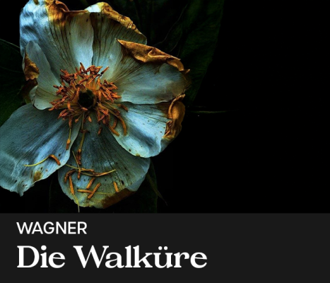 walkure tile