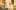 21 Rheingold GPO-00730
