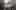 42 Rheingold GPO-04985