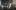 45 Rheingold GPO-06026